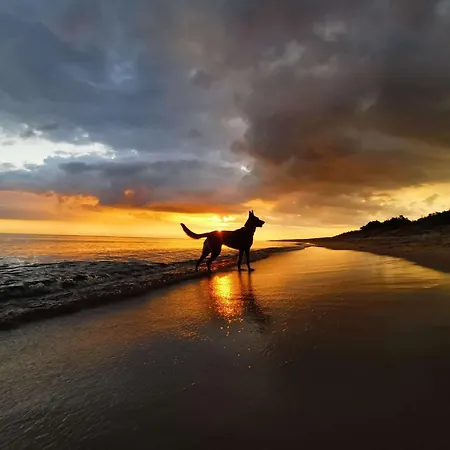 Holiday home Sophia 70qm Bis 5 Gaeste Mit Fass-sauna, Whirlpool April Bis Oktober, 75qm Terrasse Und Eingezaeunten Garten *