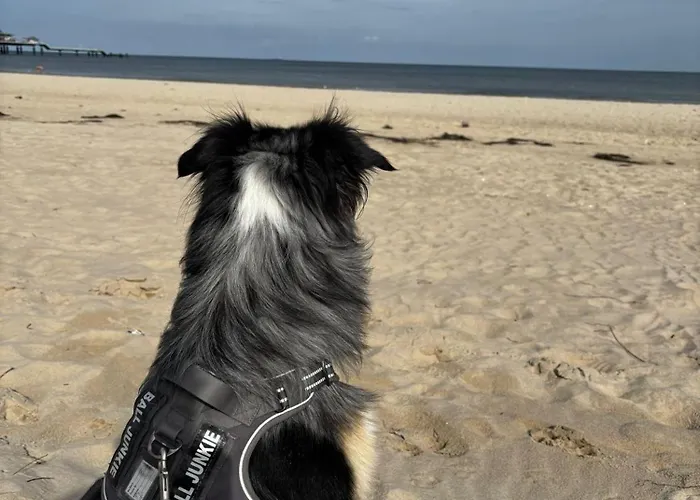 Сasa de vacaciones Sophia 70qm Bis 5 Gaeste Mit Fass-sauna, Whirlpool April Bis Oktober, 75qm Terrasse Und Eingezaeunten Garten